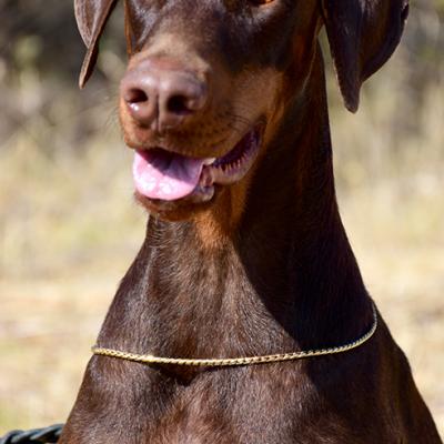 Madre Legend Goes On Anja