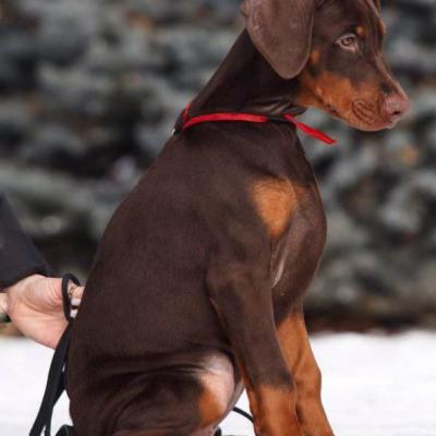 Imagen De Whatsapp 2025 09 09 A Las 17.10.20 Eefb29e9