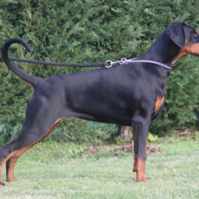 Imagen De Whatsapp 2025 09 09 A Las 17.26.03 286c8622